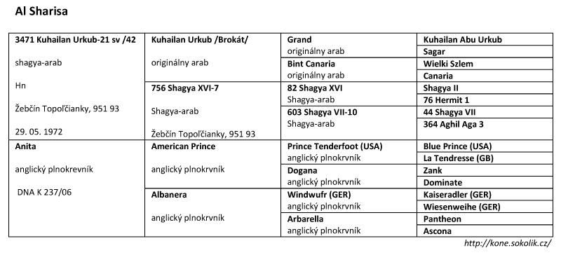 Al-Sharisa pedigree